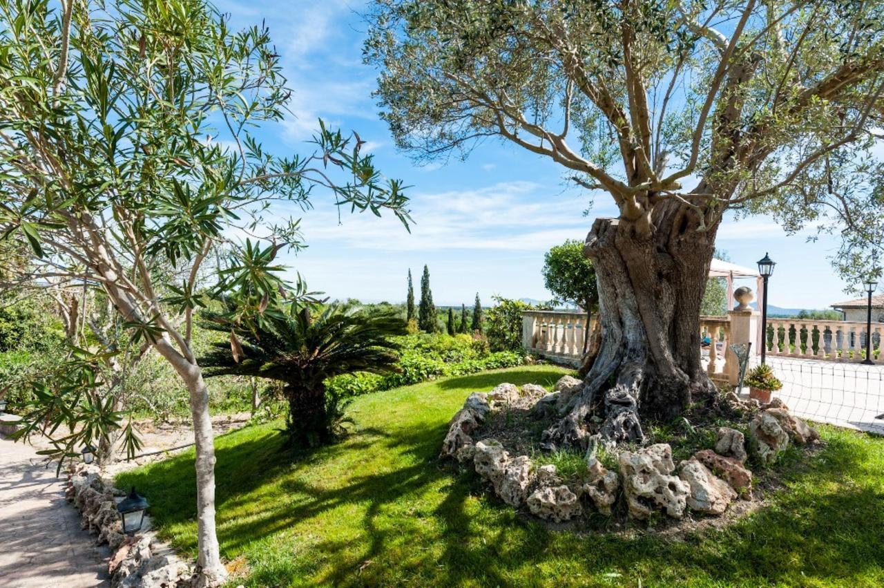 Villa Santa Margalida Exteriör bild