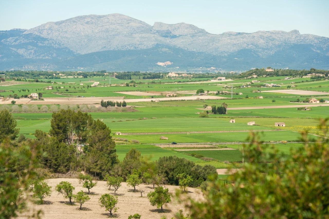 Villa Santa Margalida Exteriör bild